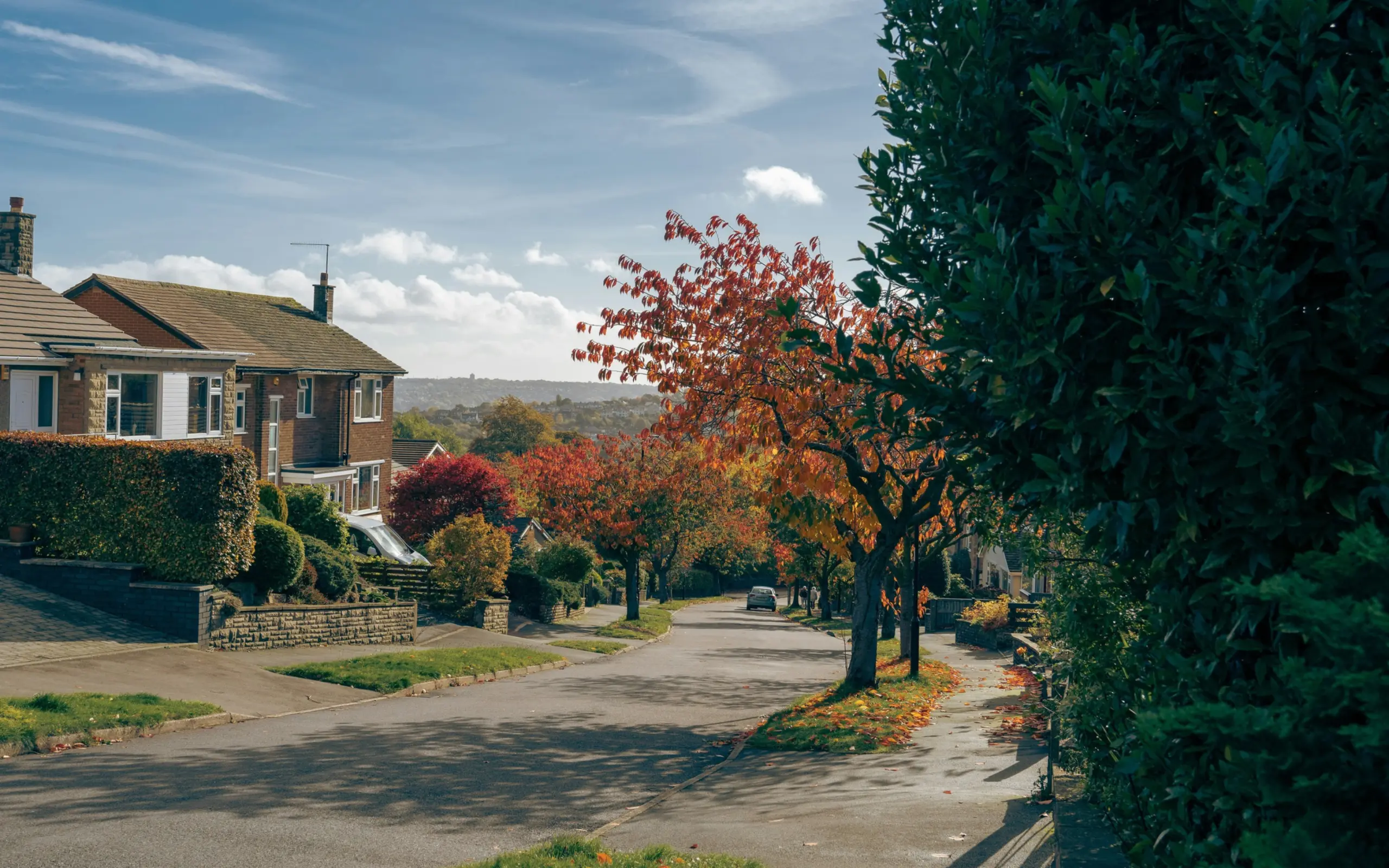 Autumn Sales Market 2026: Buyer demand picks up
