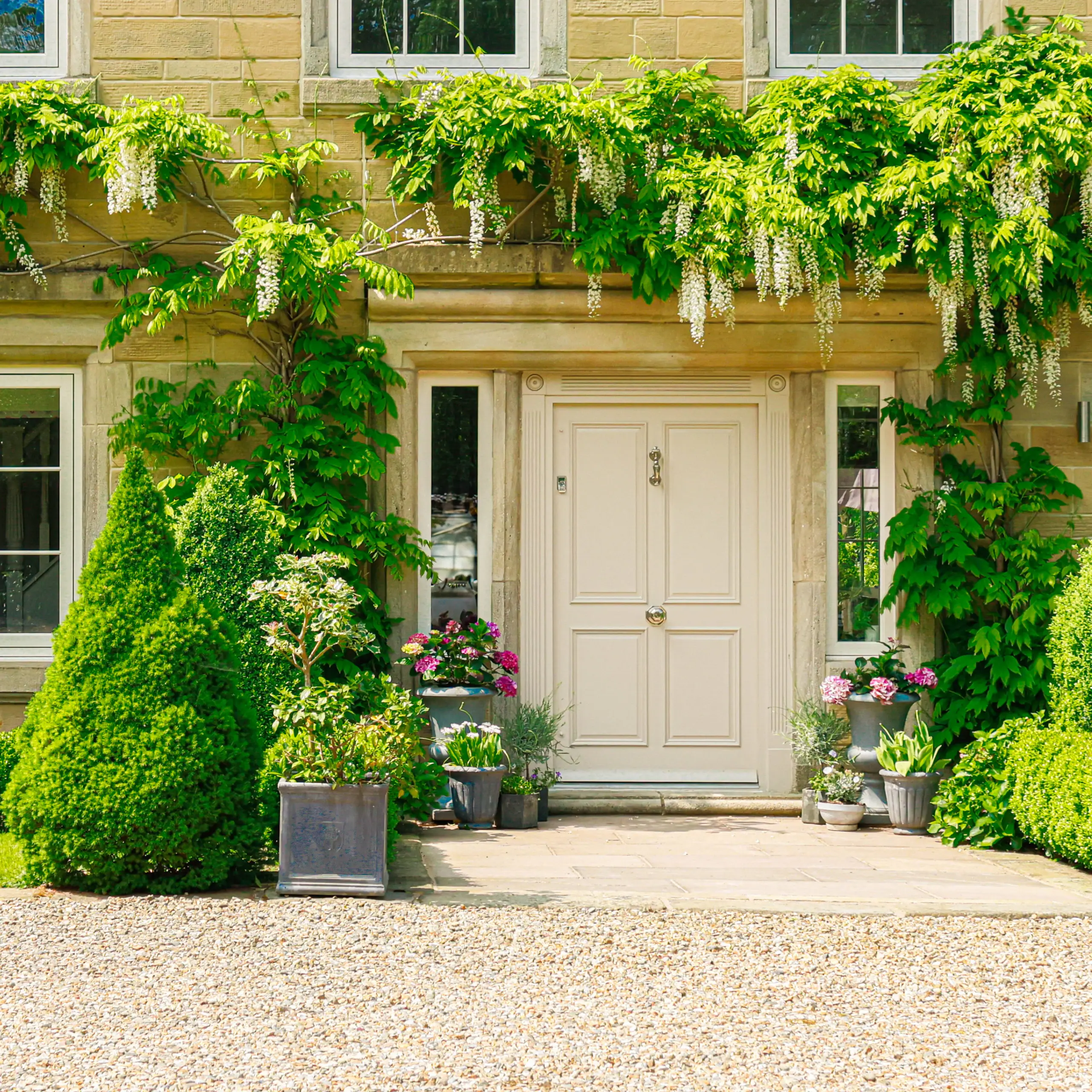 Cream-coloured stone house with white double doors, surrounded by climbing wisteria with white flowers, topiary hedges, and potted pink flowers
