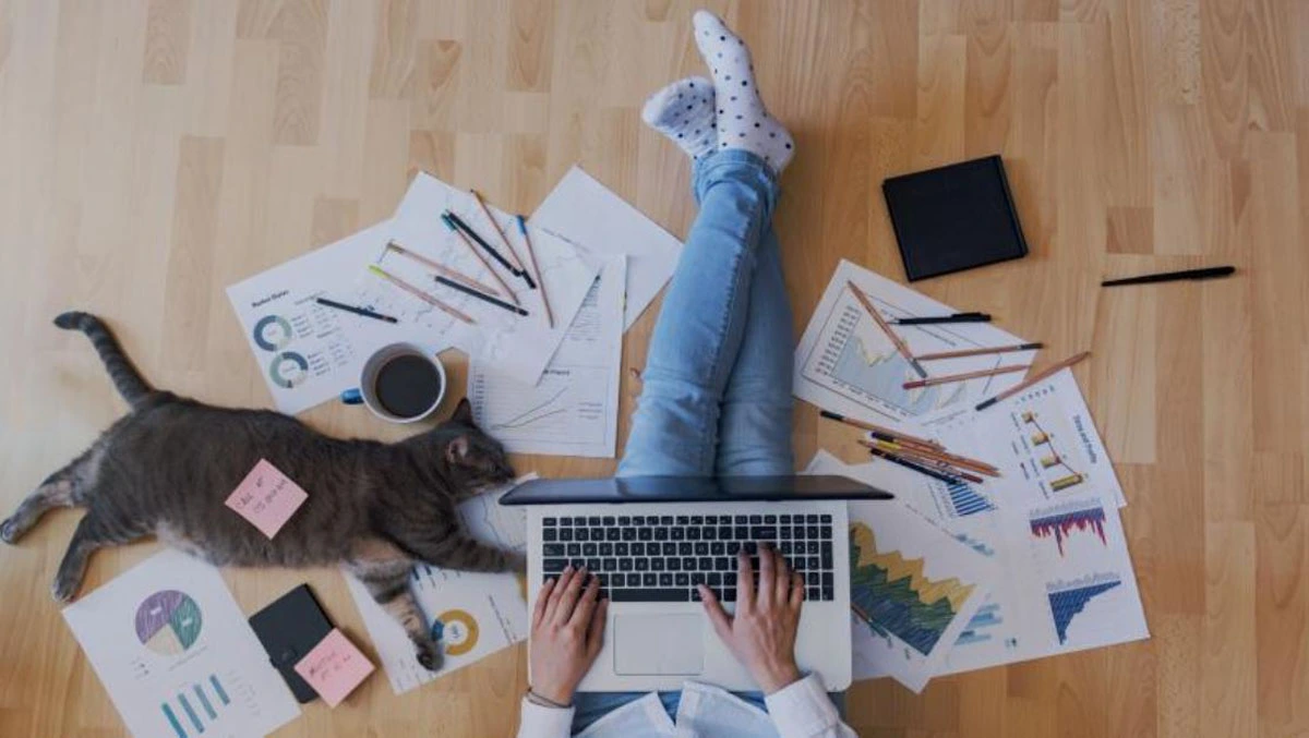 Overhead view of person at laptop surrounded by charts, graphs, and documents on wooden floor, with cat and coffee cup nearby