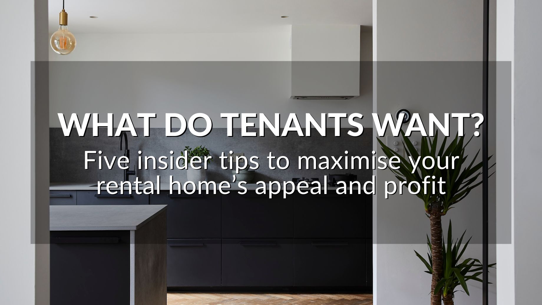 What Do Tenants Want? Five Insider Tips To Maximise Your Rental Home’s Appeal And Profit