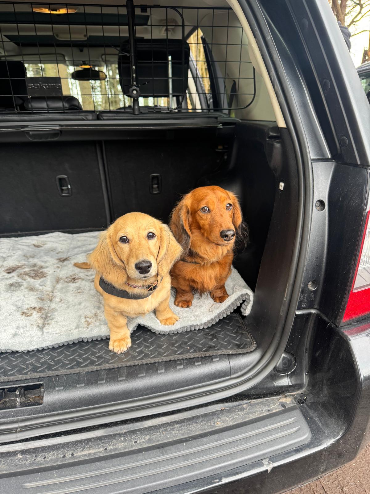 Leo has a new friend!