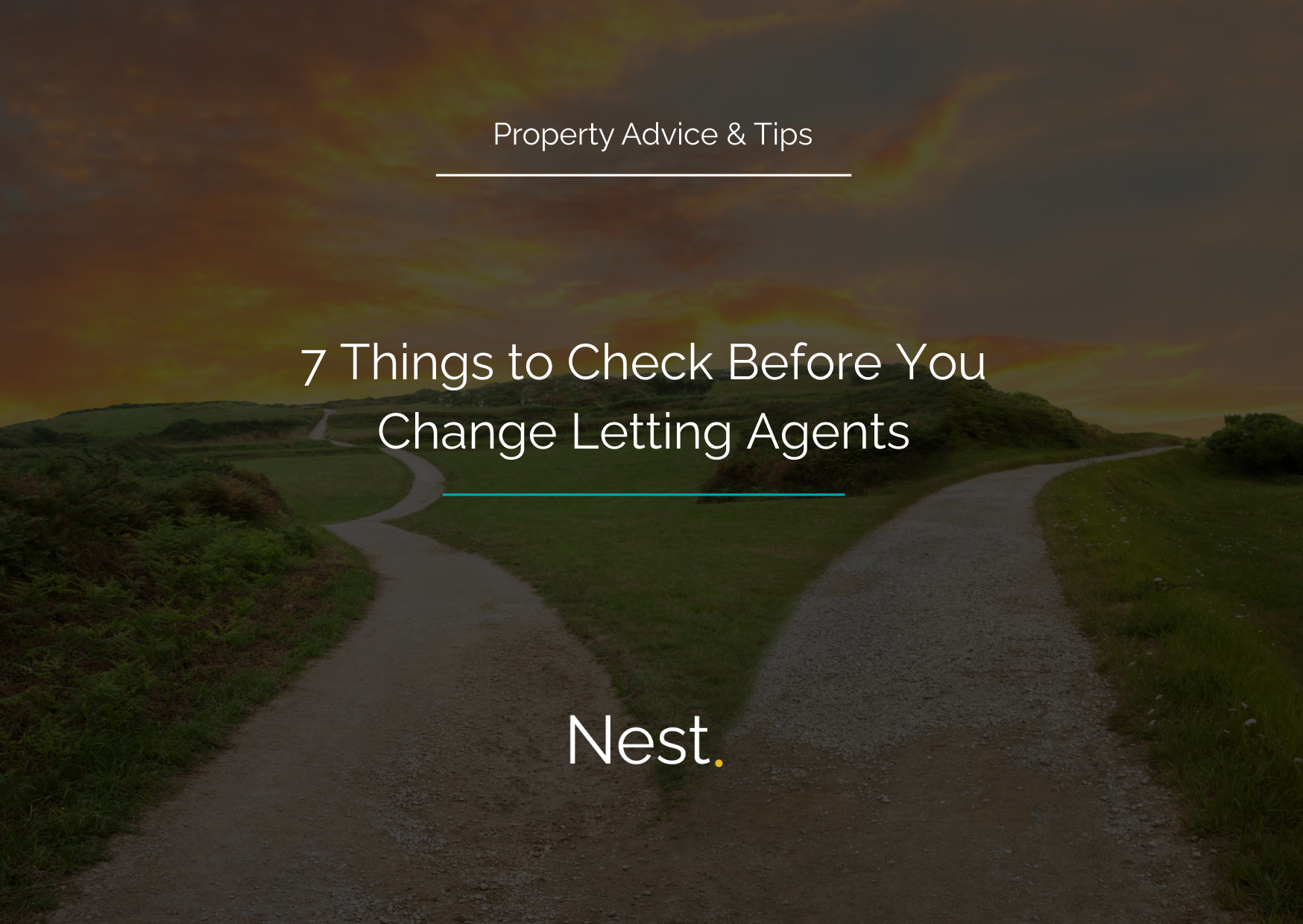 Landlords: 7 Things to Check Before You Change Letting Agents